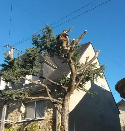 Jardinet Paysage Paysagiste Pleurtuit Elagage Jardinet Paysage Paysagiste Pleurtuit Elagage