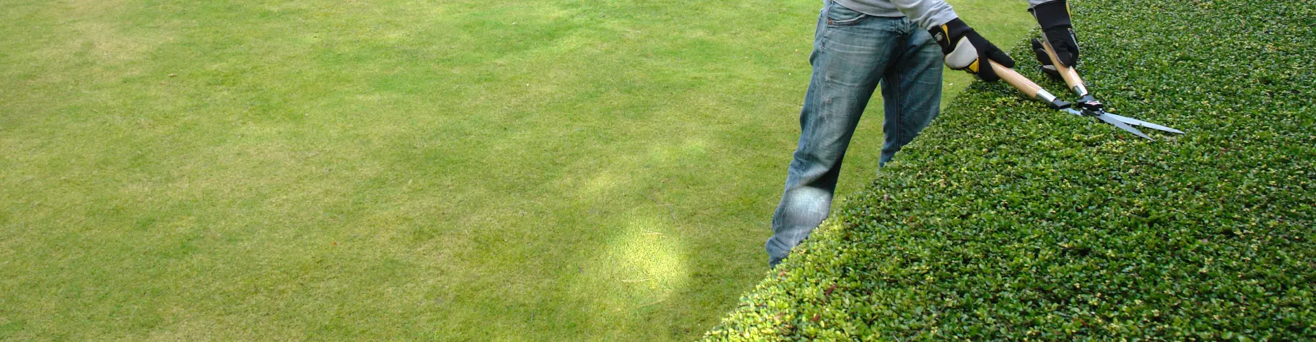 Paysagiste à Saint-Jouan-des-Guérets : JARDI'NET PAYSAGE