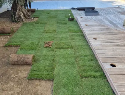 Jardinet Paysage Paysagiste Pleurtuit Gazon De Placage